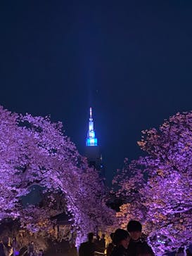NAKED 桜の新宿御苑 2023に投稿された画像（2023/4/2）