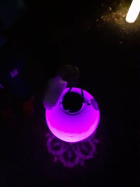 NAKED 桜の新宿御苑 2023に投稿された画像（2023/4/2）