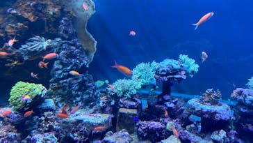 サンシャイン水族館に投稿された画像（2023/4/2）