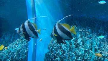 サンシャイン水族館に投稿された画像（2023/4/2）