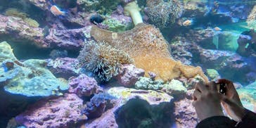 サンシャイン水族館に投稿された画像（2023/4/2）