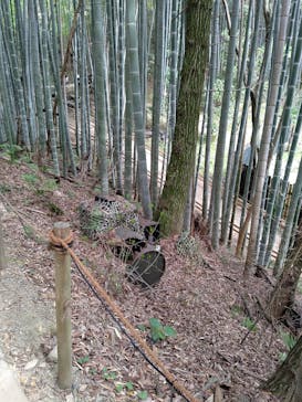 みろくの里に投稿された画像（2023/4/2）