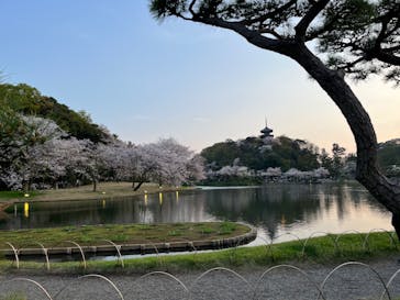 三溪園に投稿された画像（2023/4/2）