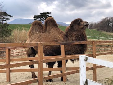 那須どうぶつ王国に投稿された画像（2023/4/2）