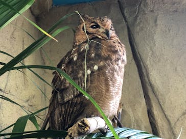 那須どうぶつ王国に投稿された画像（2023/4/2）