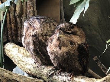 那須どうぶつ王国に投稿された画像（2023/4/2）