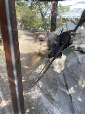 神戸どうぶつ王国に投稿された画像（2023/4/2）