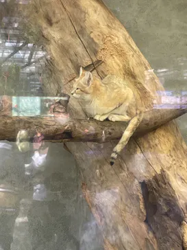 神戸どうぶつ王国に投稿された画像（2023/4/2）