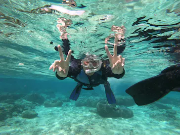 武藤潜水に投稿された画像（2023/4/2）