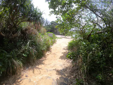 武藤潜水に投稿された画像（2023/4/2）