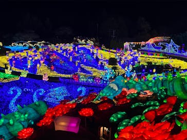 伊豆ぐらんぱる公園に投稿された画像（2023/4/2）