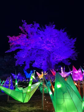 伊豆ぐらんぱる公園に投稿された画像（2023/4/2）