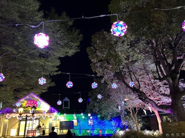 伊豆ぐらんぱる公園に投稿された画像（2023/4/2）