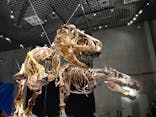 特別展「恐竜博2023」に投稿された画像（2023/4/2）