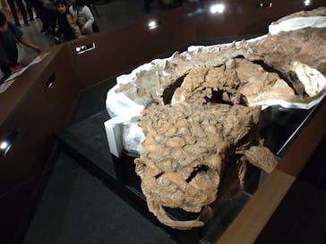 特別展「恐竜博2023」に投稿された画像（2023/4/2）