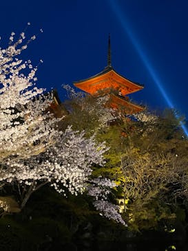 京阪電車に投稿された画像（2023/4/2）