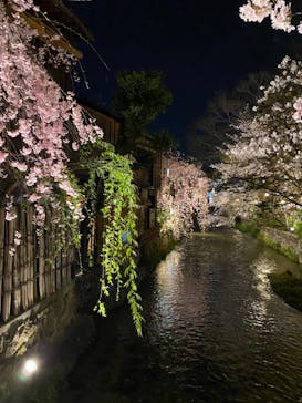 京阪電車に投稿された画像（2023/4/2）
