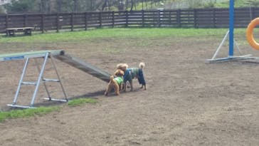 わんダフルネイチャーヴィレッジに投稿された画像（2023/4/2）