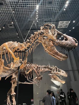 特別展「恐竜博2023」に投稿された画像（2023/4/2）