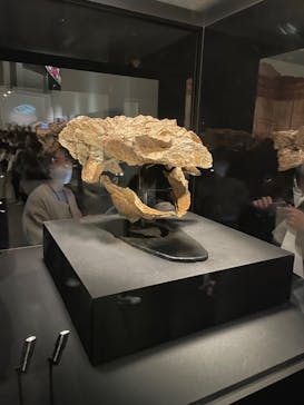 特別展「恐竜博2023」に投稿された画像（2023/4/2）
