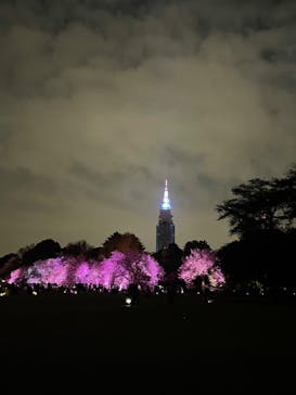 NAKED 桜の新宿御苑 2023に投稿された画像（2023/4/2）