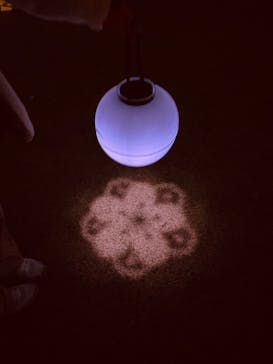 NAKED 桜の新宿御苑 2023に投稿された画像（2023/4/2）