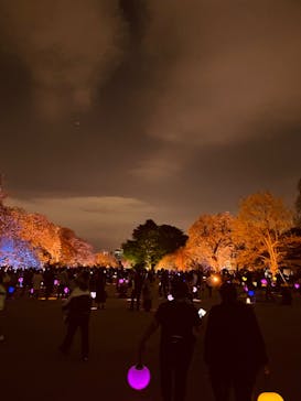 NAKED 桜の新宿御苑 2023に投稿された画像（2023/4/2）