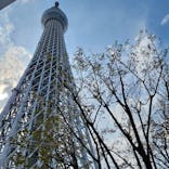 東京スカイツリーに投稿された画像（2023/4/2）