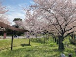 到津の森公園に投稿された画像（2023/4/2）