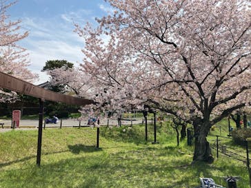 到津の森公園に投稿された画像（2023/4/2）