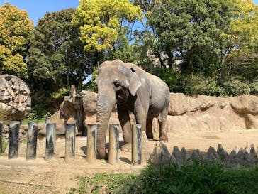 到津の森公園に投稿された画像（2023/4/2）