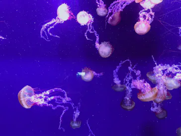 すみだ水族館に投稿された画像（2023/4/2）