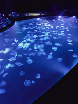 すみだ水族館に投稿された画像（2023/4/2）