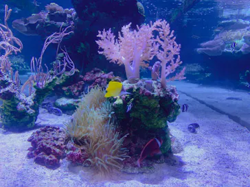 すみだ水族館に投稿された画像（2023/4/2）