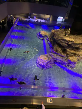 すみだ水族館に投稿された画像（2023/4/2）