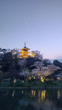 三溪園に投稿された画像（2023/4/2）