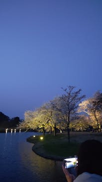 三溪園に投稿された画像（2023/4/2）