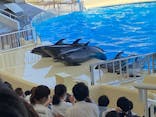 マリンワールド海の中道に投稿された画像（2023/4/2）