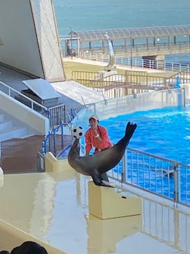 マリンワールド海の中道に投稿された画像（2023/4/2）