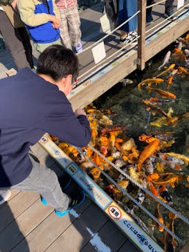 上越市立水族博物館 うみがたりに投稿された画像（2023/4/2）