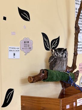 ワールド牧場に投稿された画像（2023/4/2）