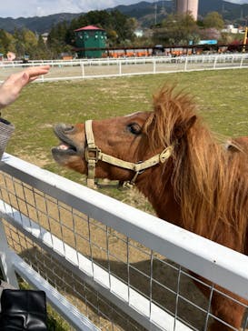 ワールド牧場に投稿された画像（2023/4/2）