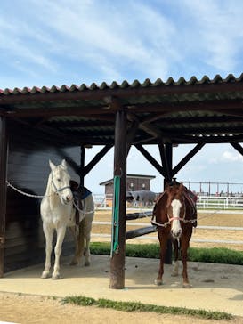 ワールド牧場に投稿された画像（2023/4/2）