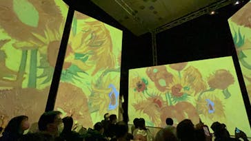 ゴッホ・アライブ神戸に投稿された画像（2023/4/2）