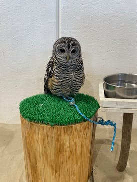 アニタッチみなとみらいに投稿された画像（2023/4/2）