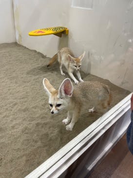 アニタッチみなとみらいに投稿された画像（2023/4/2）