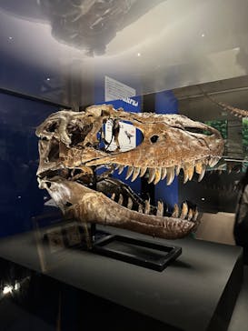特別展「恐竜博2023」に投稿された画像（2023/4/2）