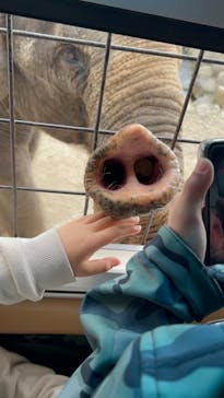 那須サファリパークに投稿された画像（2023/4/2）