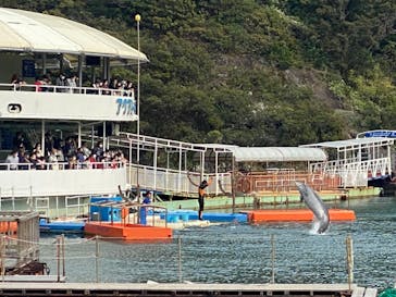 下田海中水族館に投稿された画像（2023/4/2）