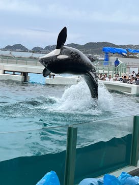 鴨川シーワールドに投稿された画像（2023/4/2）